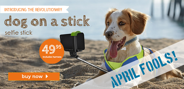 Unleashed by Petco's "Dog on a Stick" introduced today.